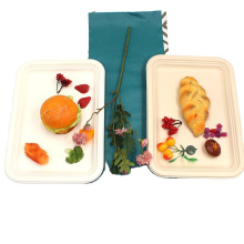 Eco-Friendly Natural Bagasse Rectangular Plates Serving Trays Made From Sugarcane Fibers
